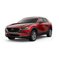 Mazda CX30 Car Window Shades (2019-Present)