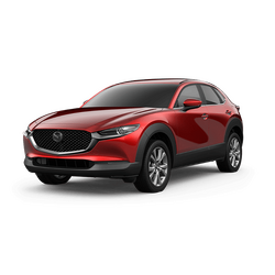 Mazda CX30 Car Window Shades (2019-Present)