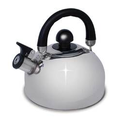 2.5L Stainless Steel Whistling Kettle