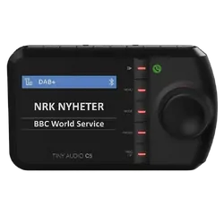 In-Car Dab+ Interface