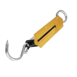 Weigh Scale 100Lb Brass Face