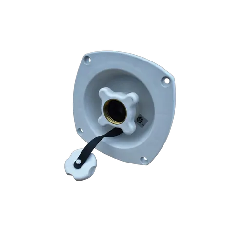 Shurflo City Water Entry Pressure Regulator Wall Mounted