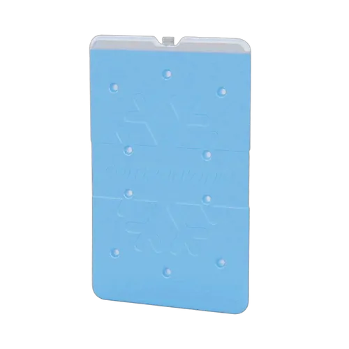 Companion Ice Brick Slim Large (650ml)