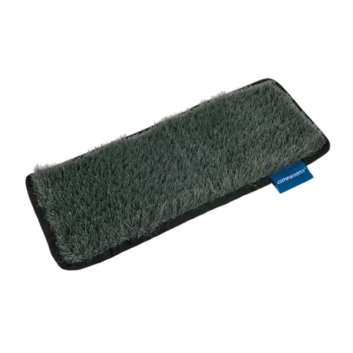 Companion Dust Off Mat Step 50Cm X 20Cm