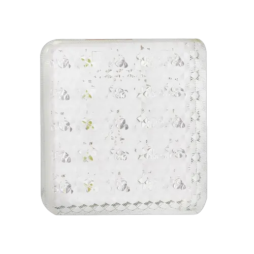 Reversing Lamps 100WMB