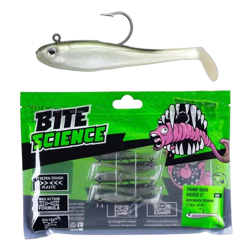 Thump Shad 3" Greenback Herring - 5pk - PK/5