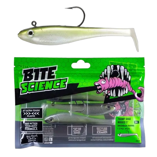 Thump Shad 5" Greenback Herring - 3pk - PK/3