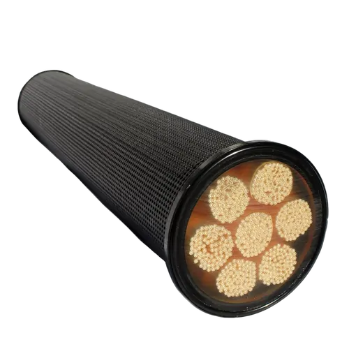 LifeSaver Spare Filter for C1 and C2