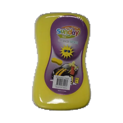 Coast To Coast Sponge Large Absorbent Contoured 27cm x 17cm x 8 cm .75025