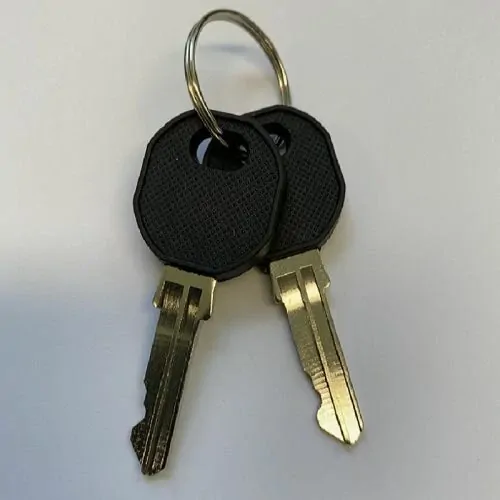 Coast To Coast Door Replacement Key Pair. Code D21 (M500-934) Sold Per Pair