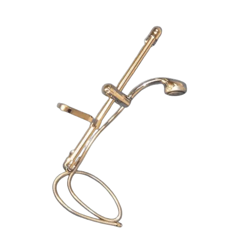 Coast To Coast Chrome Shower Rail w/ Hose, Rose & Soap Dish. Srlg04