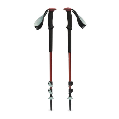 Black Diamond Trail Trekking Poles - Pine Smoke