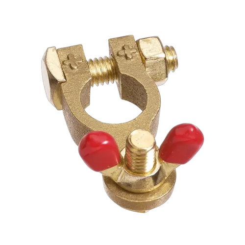 Projecta Wingnut Brass Battery Positive Terminal (Box 10)