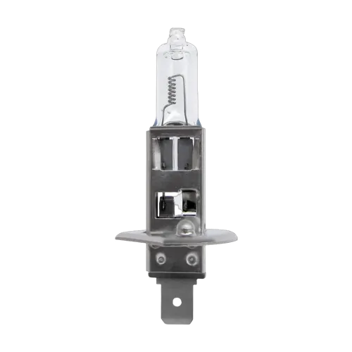 Heavy Star - 24V 70W P14.5S - H1