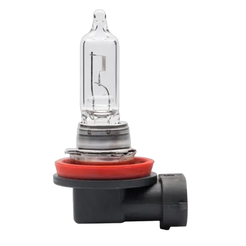 Standard - 12V 65W Pgj19-5 - H9