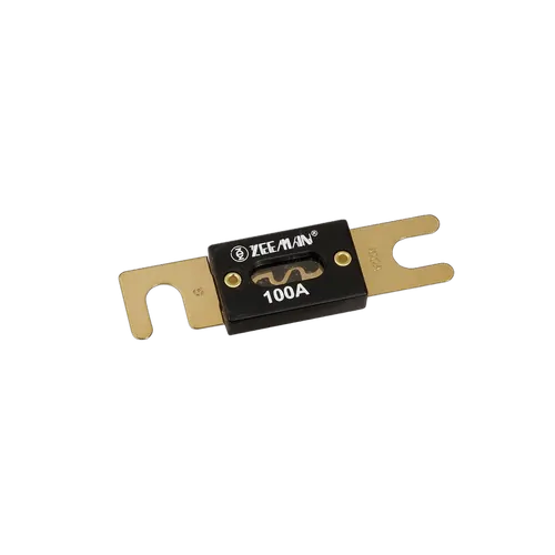Projecta 100A Anl Fuse