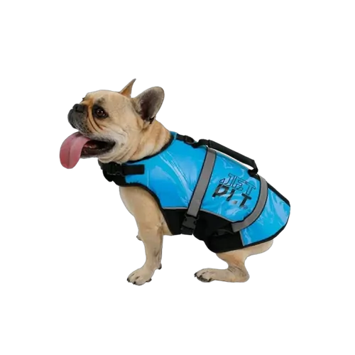 Jetpilot Dog PFD Lifejacket Blue - Medium