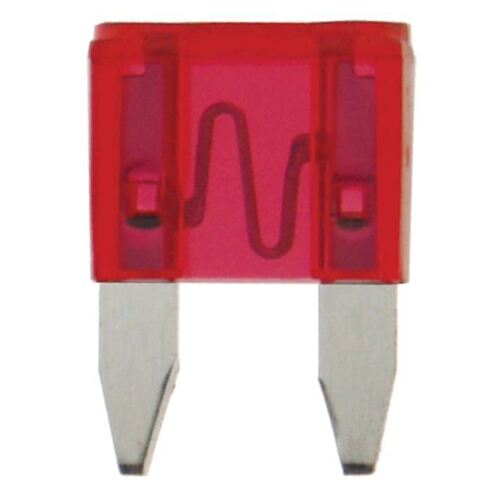 10 Amp Mini Blade Fuse 100Pk