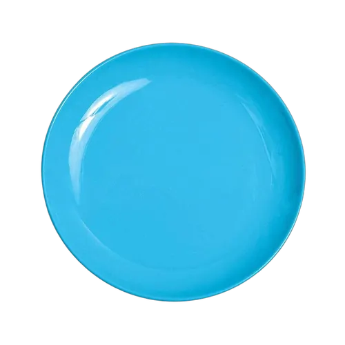 Campfire Melamine Dinner Plate - Blue
