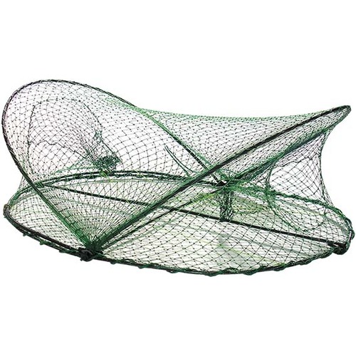 Seahorse Opera House Net Green With Ring