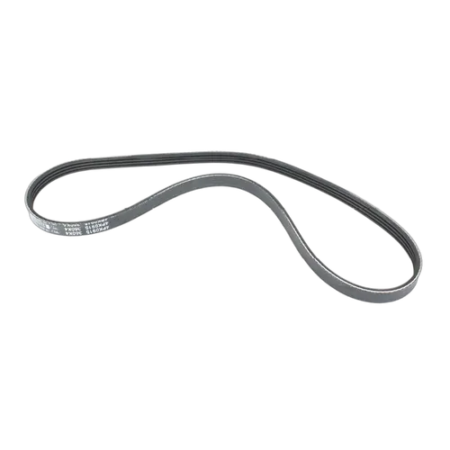 Sierra Belt Mercruiser Serpentine