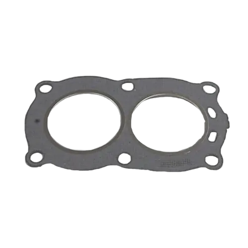 Sierra Gasket BRP Head (Pkg 2)