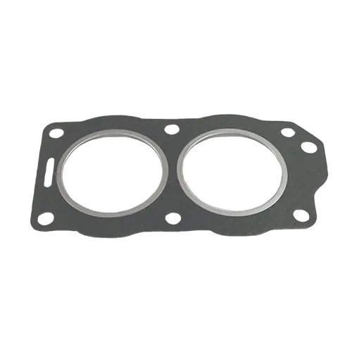 Sierra Gasket BRP Cylinder Head