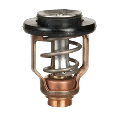 Sierra Thermostat Yamaha 60C