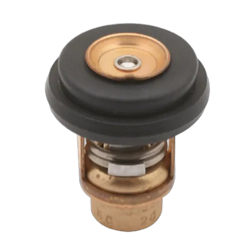 Sierra Thermostat Kit Mercury