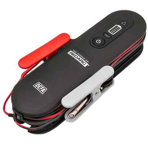 6A SmartCharge AC Battery Charger