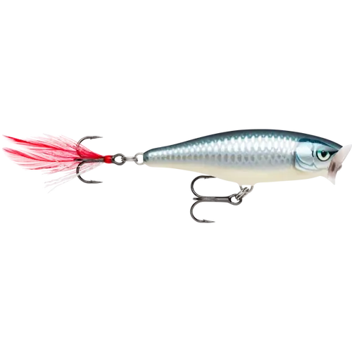 Rapala Skitter Pop 7cm Baby Aspius
