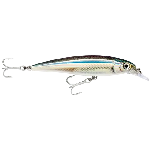 Rapala Saltwater X-Rap 10cm Anchovy