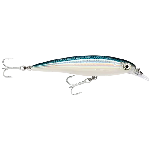 Rapala Saltwater X-Rap 10cm Baitfish