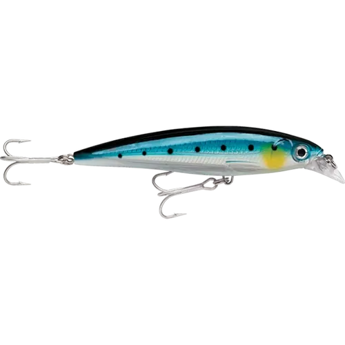 Rapala Saltwater X-Rap 10cm Blue Sardine