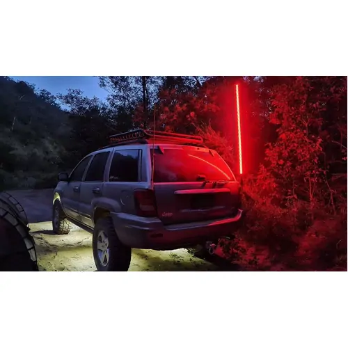 Rgb 5Ft Whip W/ Remote & App Control