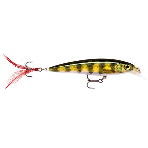 Rapala X-Rap 6cm Live Perch