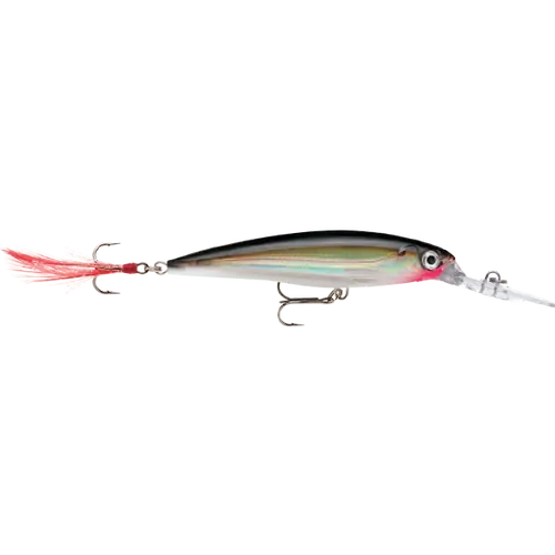 Rapala X-Rap Deep 10cm Silver