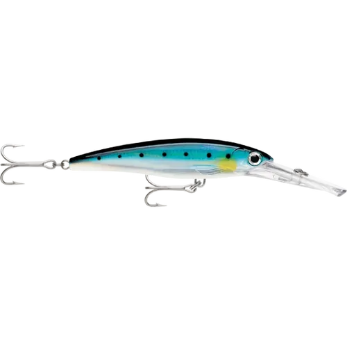 Rapala X-Rap Magnum 12cm Blue Sardine