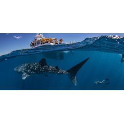 Top Fishing Destinations for Your Bucket List